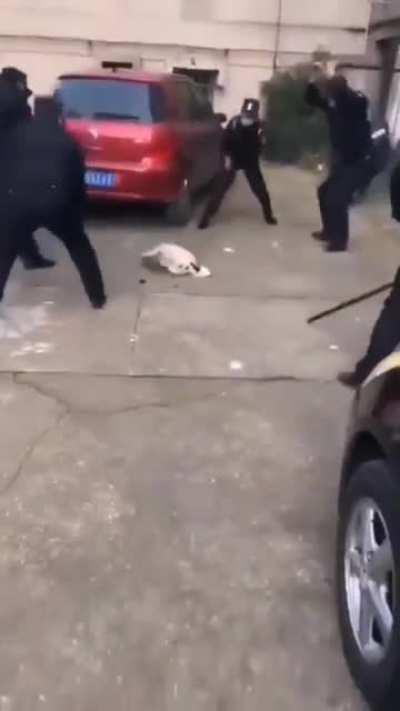 几个中国警察用棍打死狗