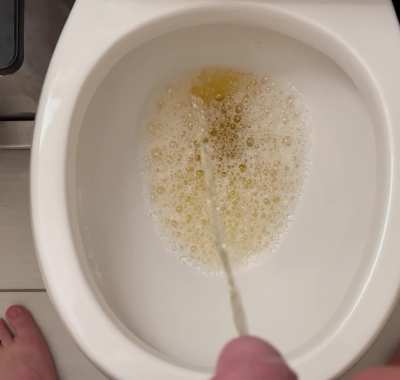 Filling up the Toilet Bowl