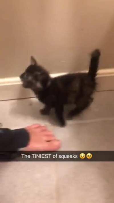 She demands to be fed