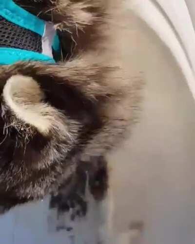 Russian ice fishing looks fun