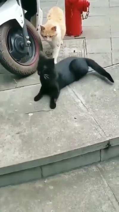 His wife came home early!