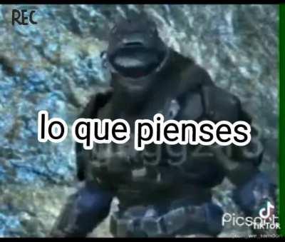 Beelce cuando un vato con foto de mona china le dice feo por internet: