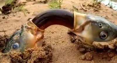 Hope this doesn't break rule 2