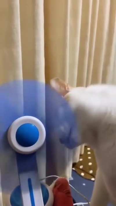 weekly mod rule post (i forgor again)