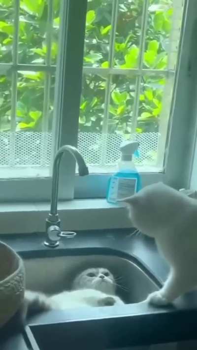 He chose violence, and then the Water Nation attacked!!!