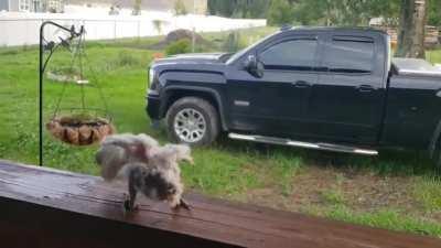 Фоешбэк из прошлой жизни