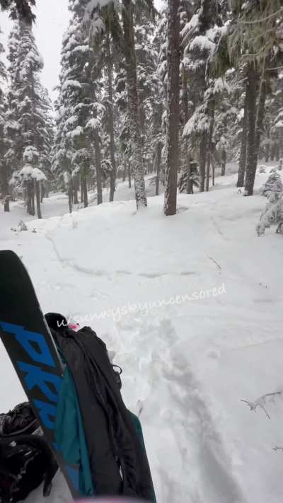 Let's find a quiet place in the trees