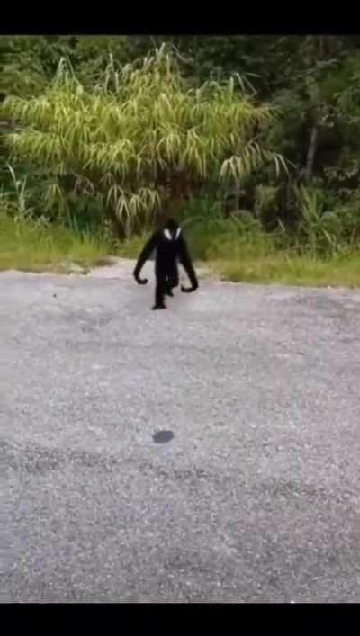 To casually film from a distance