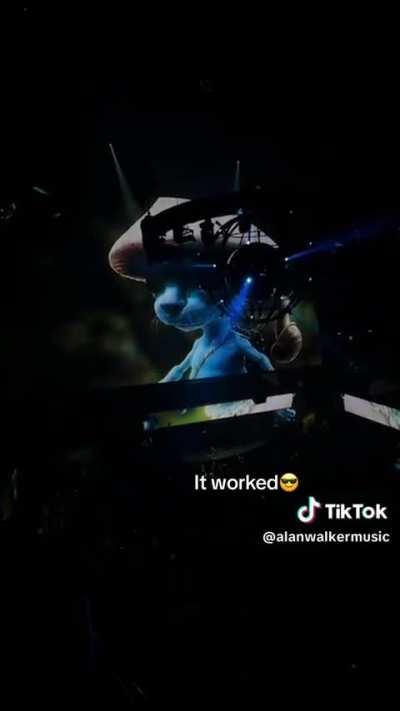 meu mano Alan Walker sabo fazer propaganda