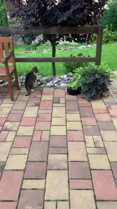 Our little girl wants to be friend with everyone:)