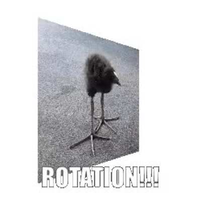 ROTATION!!!