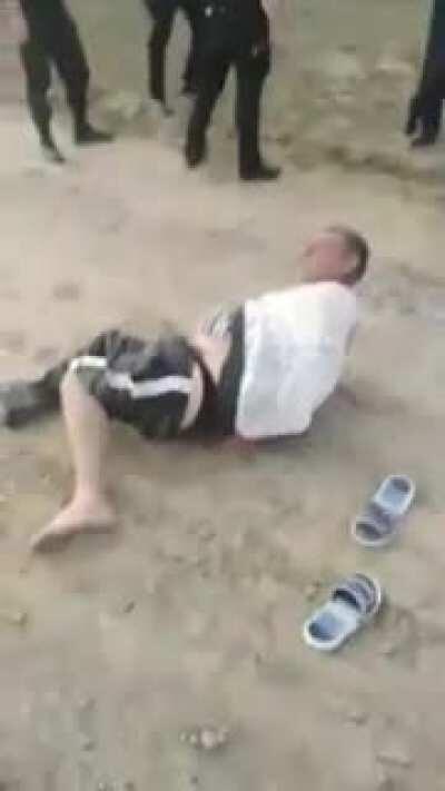 Stol de rodditori disturbat din obiceiurile de zi cu zi, reactioneaza solidar