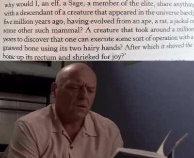 Reading some of these Witcher books like