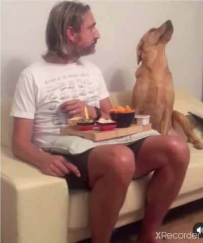 when you regret saying you're not hungry