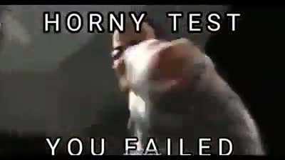 You failed. Didn’t you?