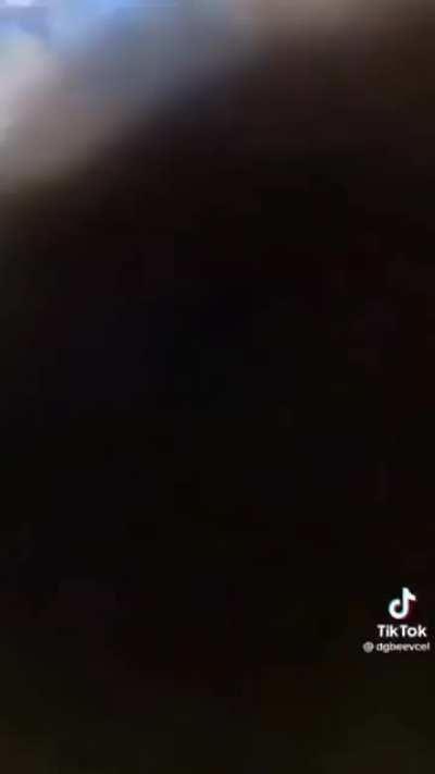 three kitties in a good neighborhood (rule)