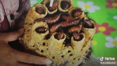 Worms in dandruff on top of a child’s head