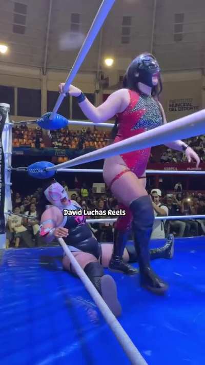 Lady Maravilla stinkface May 2025