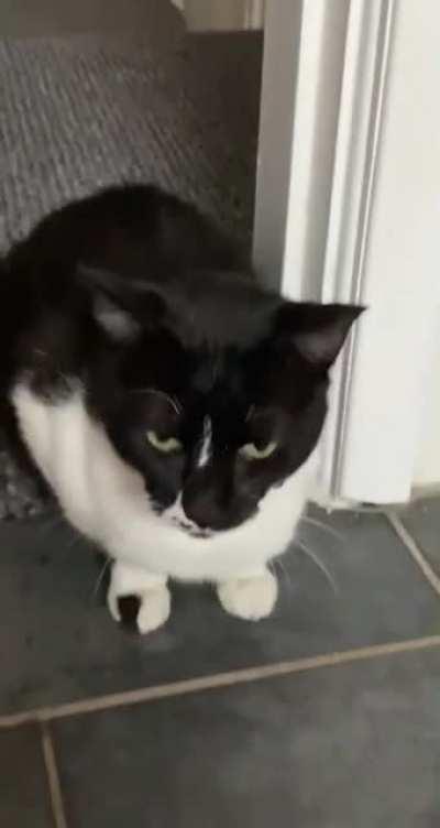 My mother's delightful rescue