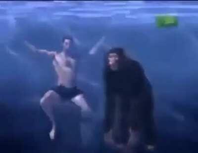 In water chimps will drown