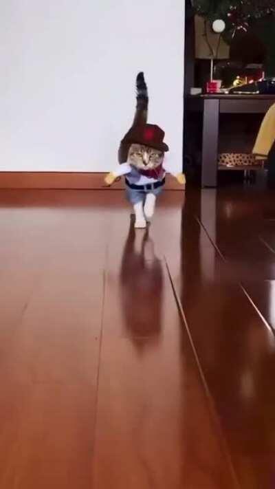 That's why it's called a Catwalk