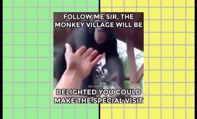 go back to monke