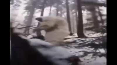 Average day in Canada.