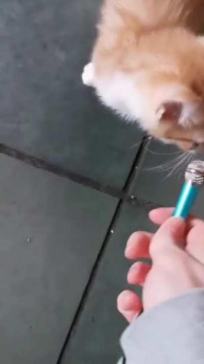 As requested - Some more groundbreaking journalism from Egg