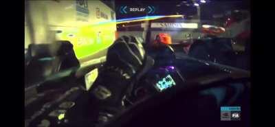 Bird angry in Italian