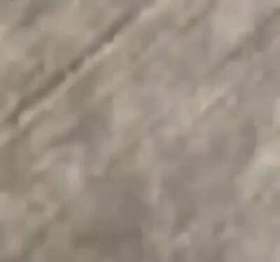 PSA: Don’t twerk and skate