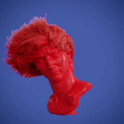 Hair Dynamics with David