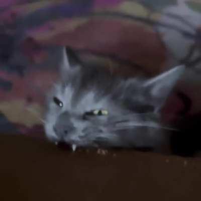 Program to give you more bytes