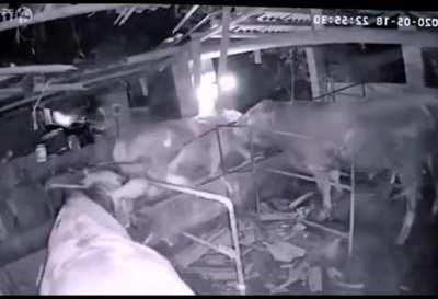 When the aliens are done