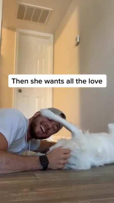 The way this guy wakes his blind and deaf dog is just awesome