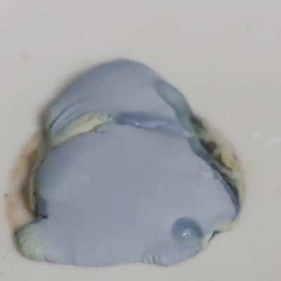 Pure Sodium Reacting With Oxygen In The Ambient Air (time Lapse)⁠