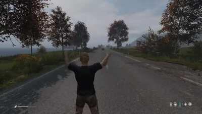 Dayz players are so nice!