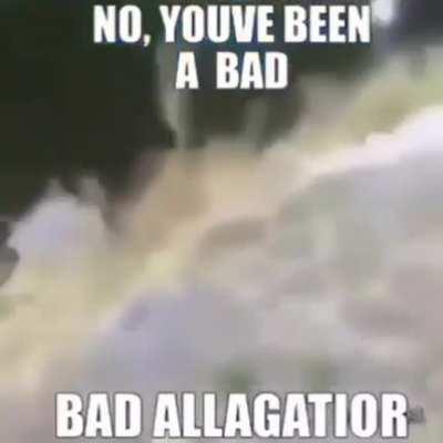 Bad alligator