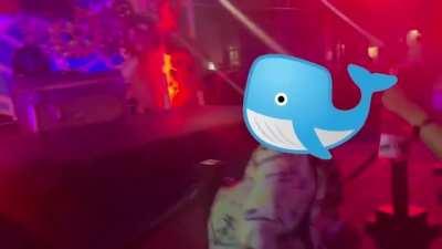 Whale Twerk x Boof Pack x CPR