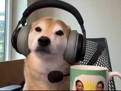 there is no funni in wunk 💢💢