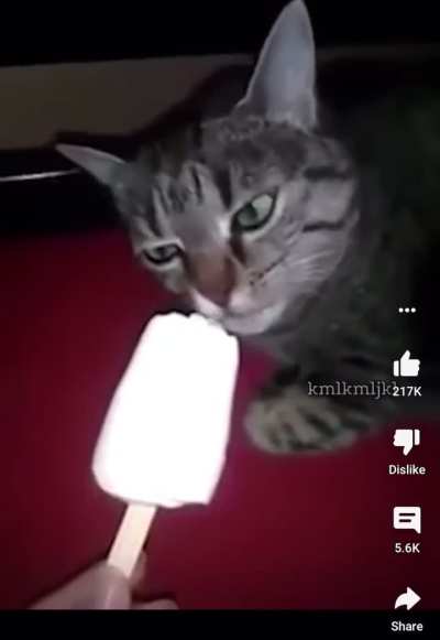 You can see the piece of ice touch the cats tooth, that shit is horrible