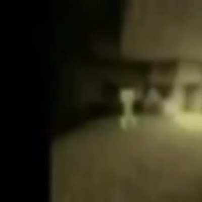 mind craft is my favrote game