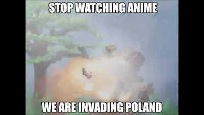 Stop watching anime brother