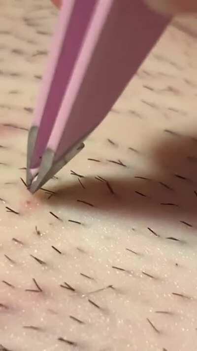 found a good one. and I filmed more