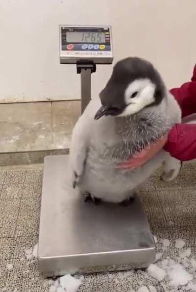 Didn’t know they were this big