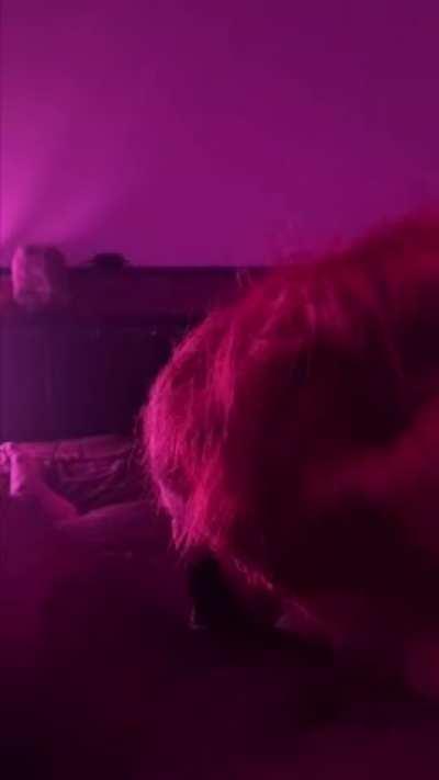 She treats me so well🤤