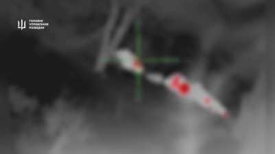 Ukrainian snipers from the Main Directorate of Intelligence (HUR) ambushed a group of Russian soldiers in the Pokrovsk area. Uploaded January 11th, 2024.