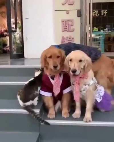 Making sure they all pose for this one.😃