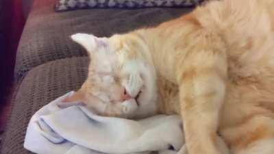 My large boy's big powerful snoozing