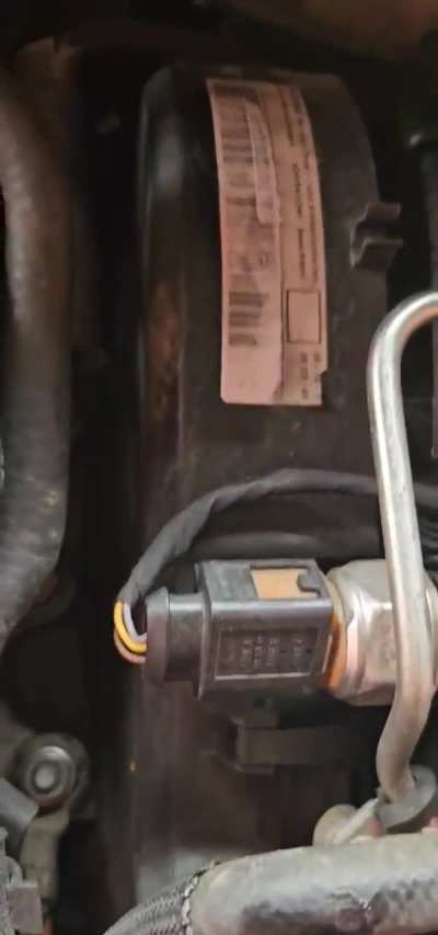 Whats the problem here? Annoying noise from the timing belt area?