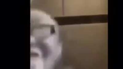 Literally the new class